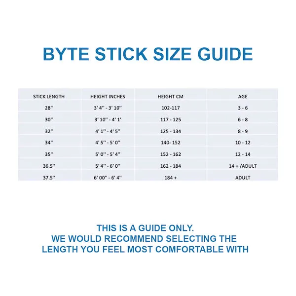 BYTE TS100