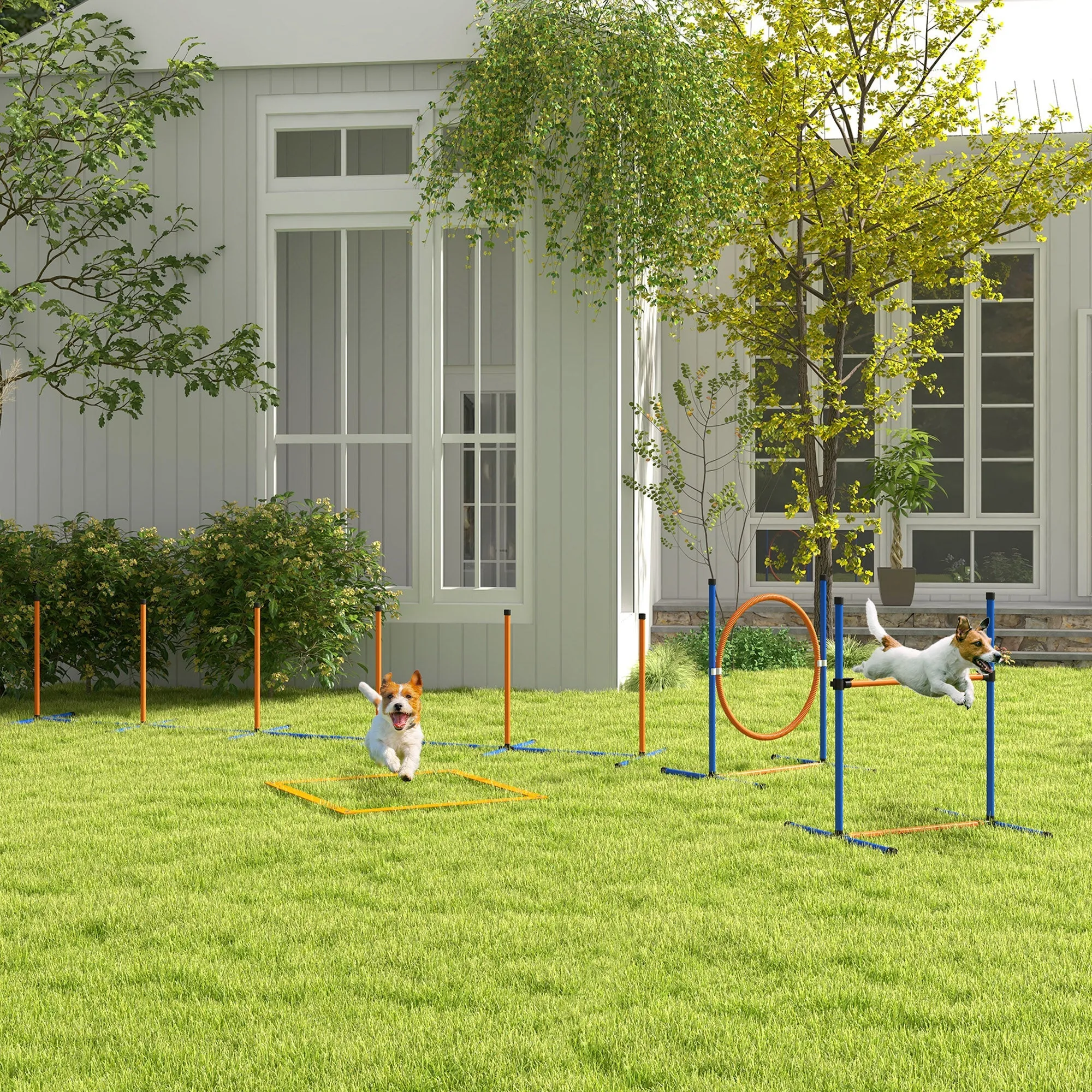 Five-Piece Dog Agility Equipment Set with Weave Poles Jump Ring Hurdle Pause Box Training Shorts Bag Orange
