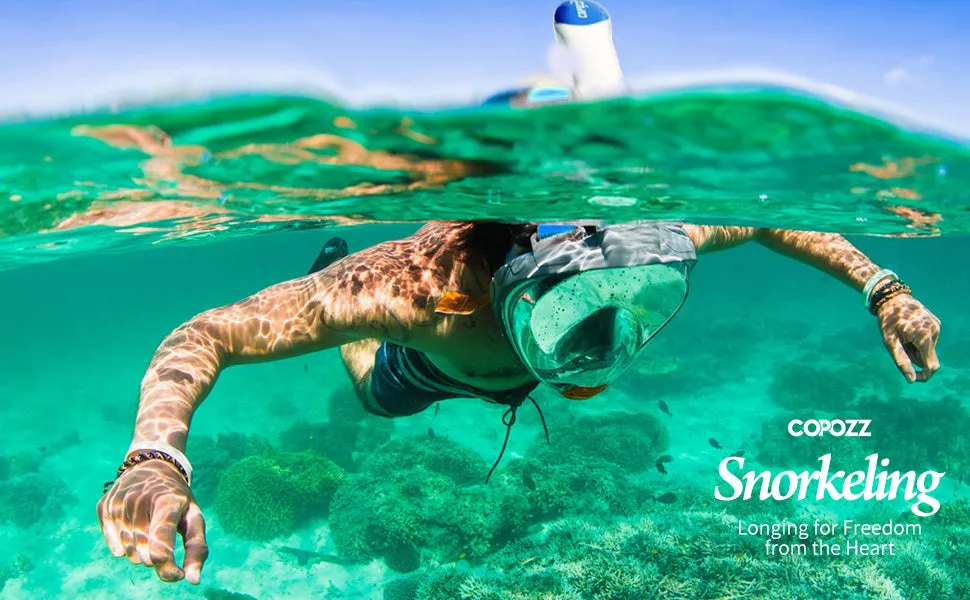 Full Face Snorkel Mask