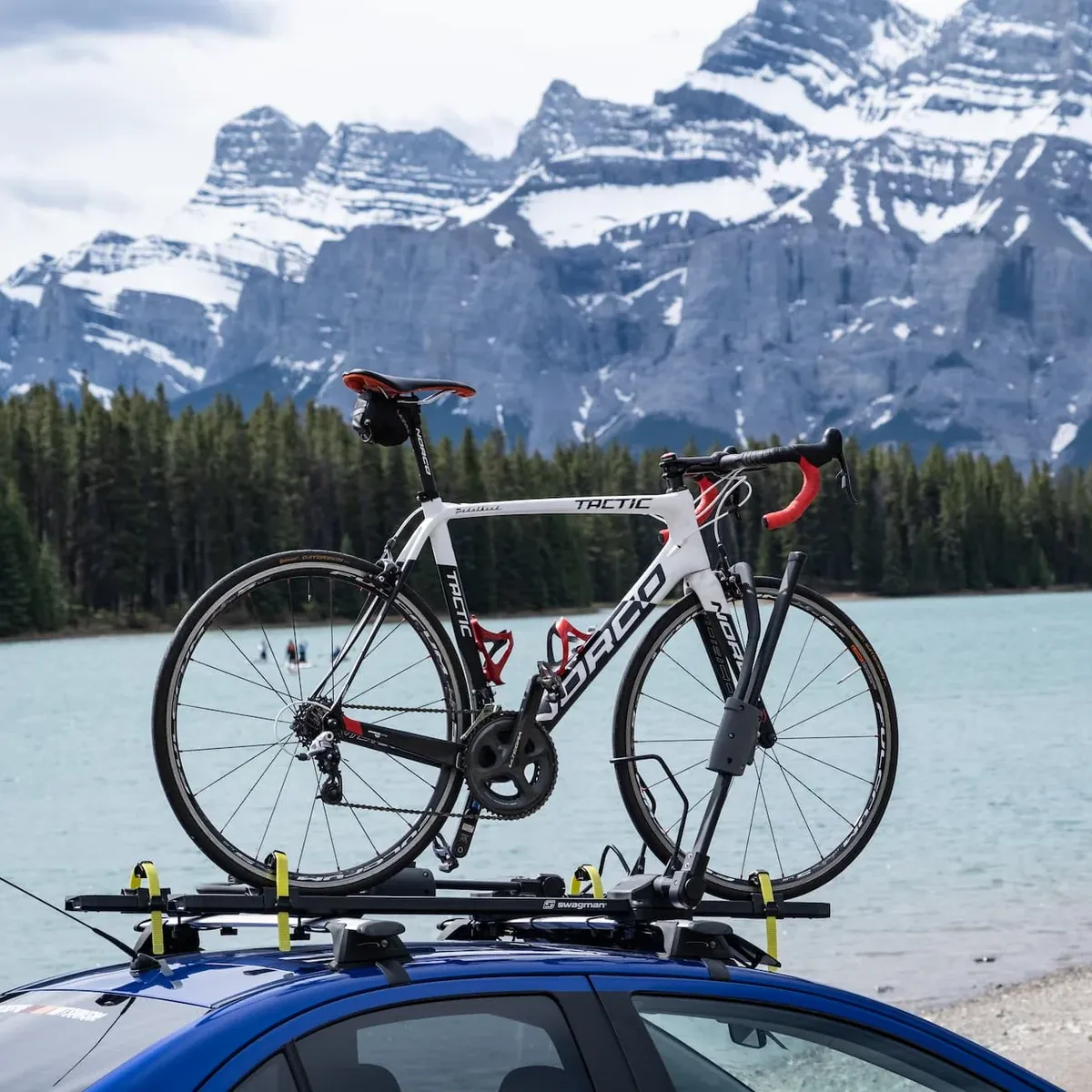 Race Ready Bike Roof Rack
