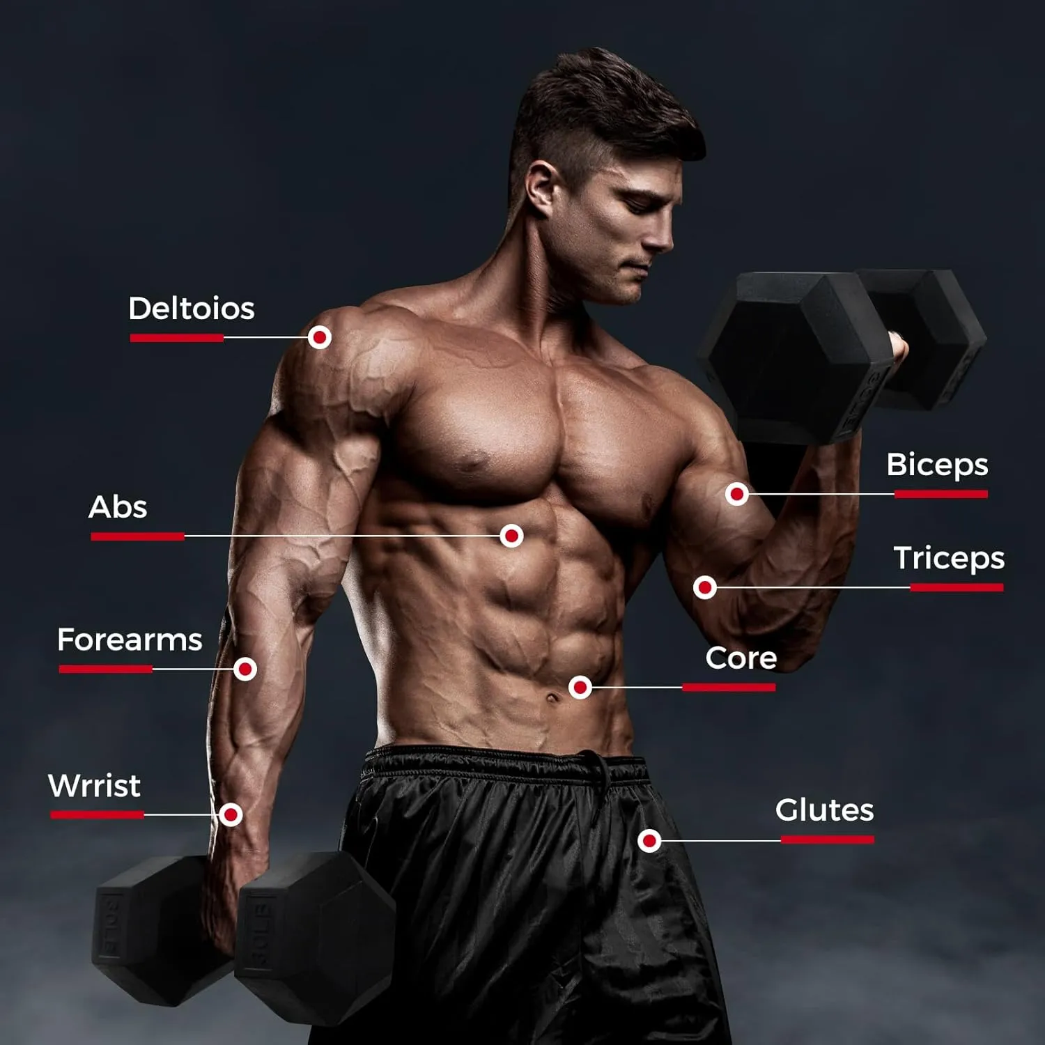 RITFIT 300/350/450/200/210 LB Rubber Hex Dumbbells Set with Optional Dumbbell Rack, Multi Weight Set to Choose, Ideal for Home Gym and Fitness