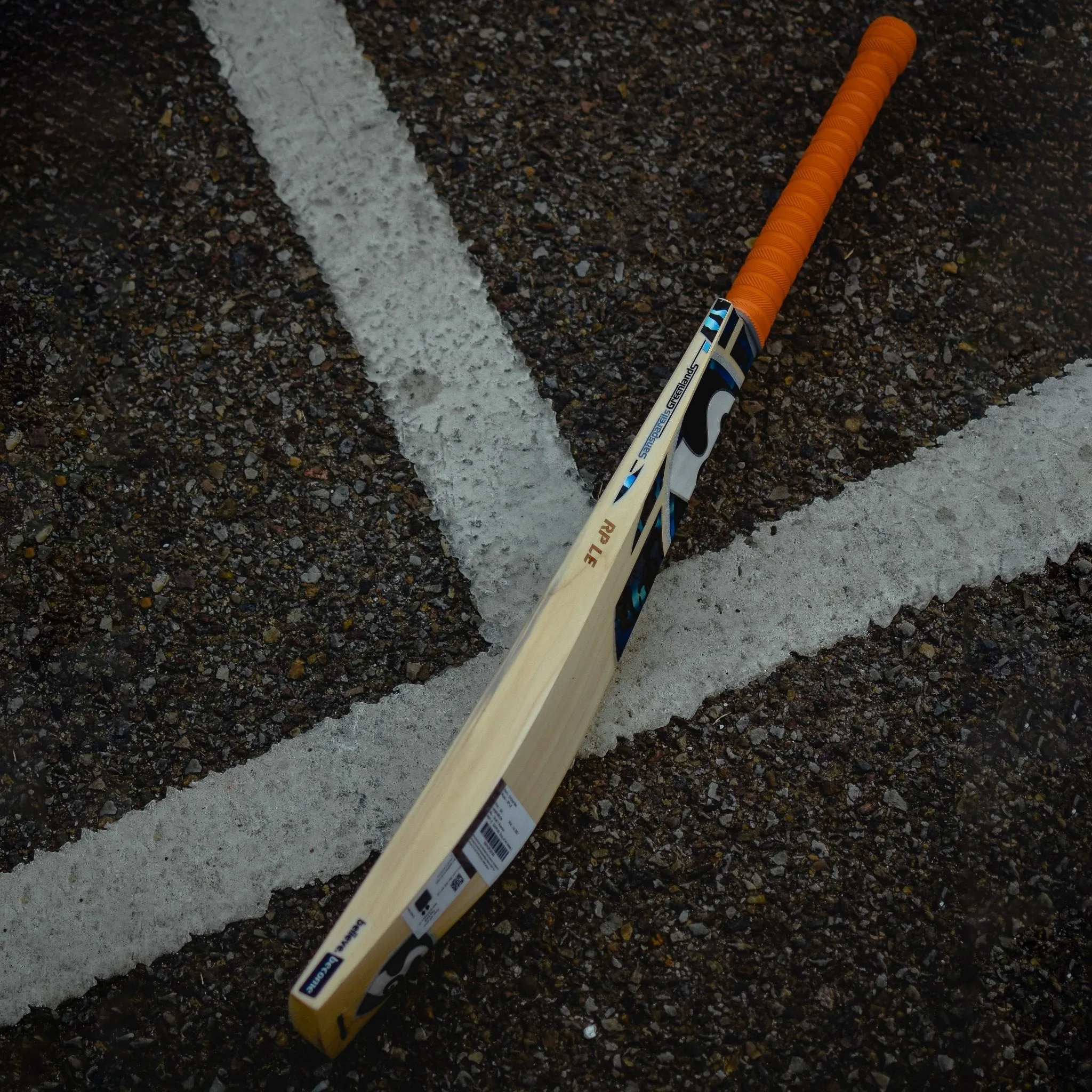 SG RP LE English Willow Cricket Bat