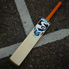 SG RP LE English Willow Cricket Bat