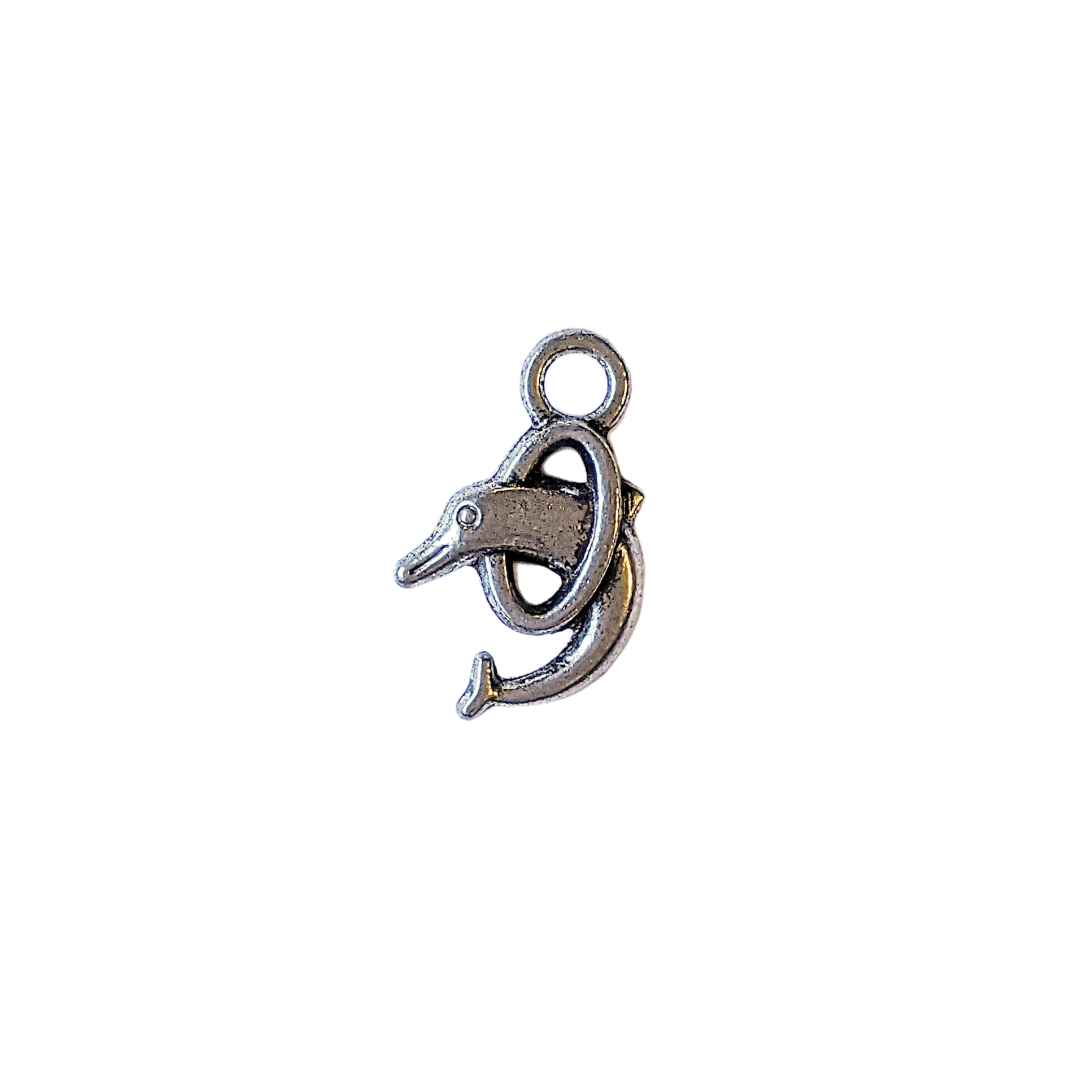 Silver Dolphin Charm 2