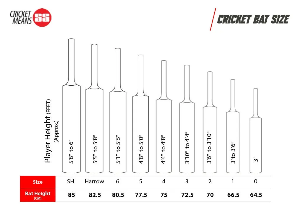 SS GG Smacker Wonder Kashmir Willow Cricket Bat | KIBI SPORTS